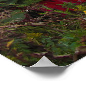 Alien Graffiti Poster (Ecke)