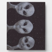 Alien Grays Fotoplatte (Vorderseite)