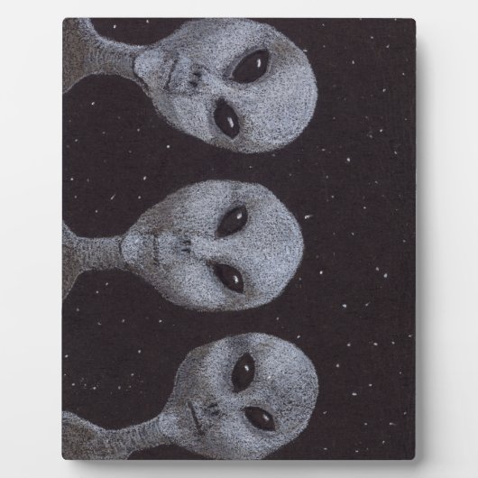 Alien Grays Fotoplatte (Vorderseite)