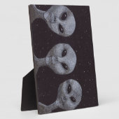 Alien Grays Fotoplatte (Seite)