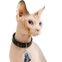 Alien Hairless Sphynx Cat Individuelle Name Pet ID