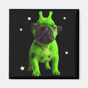 Alien-Hund-Meme Retro Dummer Hund Vintage Weltraum Magnet