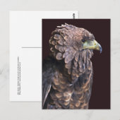 Alien Queen Postcard Postkarte (Vorne/Hinten)