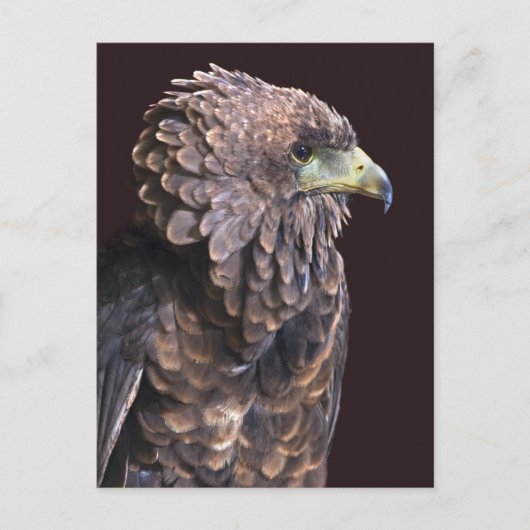 Alien Queen Postcard Postkarte (Vorderseite)