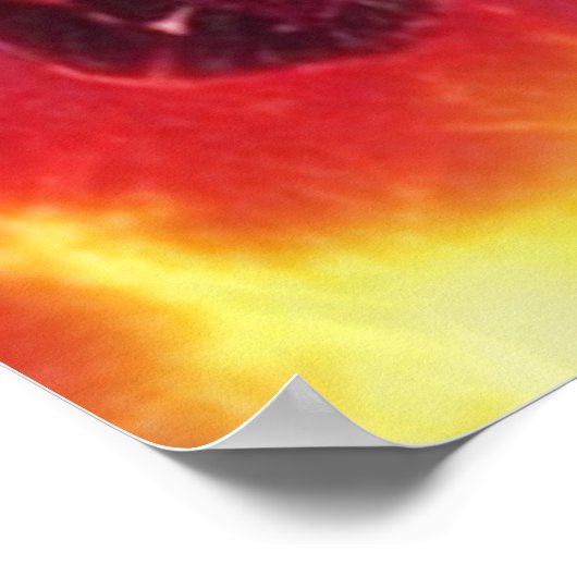 Alien Raven 16 Poster (Ecke)