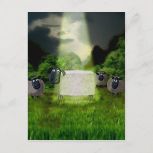 Alien Sheep Experiment Postcard Postkarte
