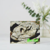 Alien Skull in Nation Postkarte (Stehend Vorderseite)