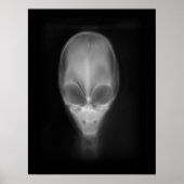 Alien Skull Röntgen Poster (Vorne)