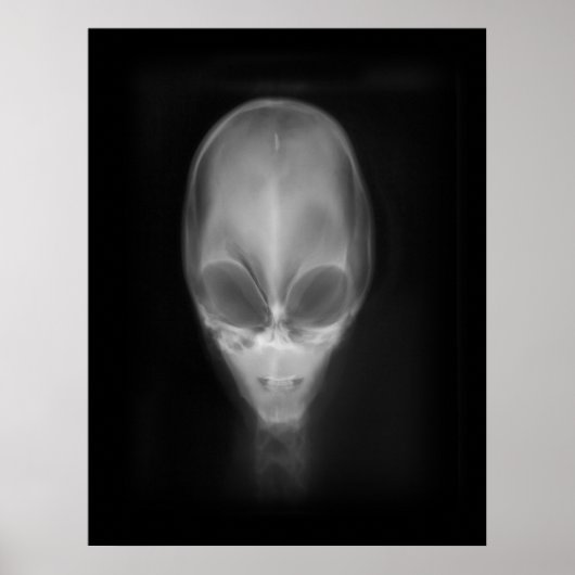 Alien Skull Röntgen Poster (Vorne)