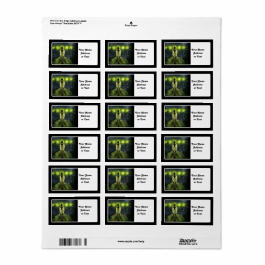 Alien Visitor Adressaufkleber (Vorne)