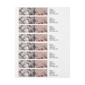 Alienunsense-Vorhang Rundum-Adressaufkleber (Bogen)