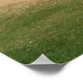 Ali'i Beach 19 Poster (Ecke)