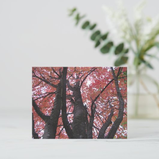 Ali's perspektive Postkarte (Stehend Vorderseite)