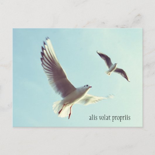 Alis Volat Propriis Postcard Postkarte (Vorderseite)