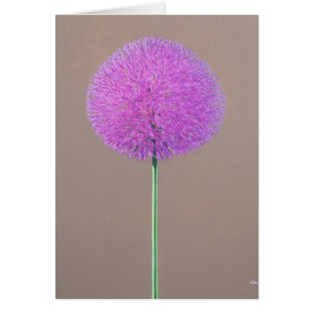 Alium (Vorne)