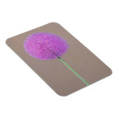 Alium Magnet (Rechte Seite)