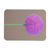 Alium Magnet (Horizontal)