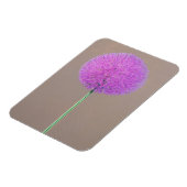 Alium Magnet (Linke Seite)