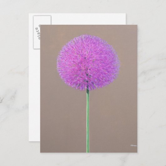 Alium Postkarte (Vorne/Hinten)