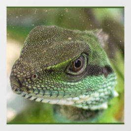 Alizard Fensteraufkleber