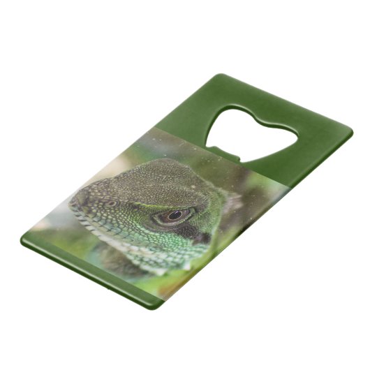 Alizard Geldbeutel Flaschenöffner (Vorderseite Schrägansicht)