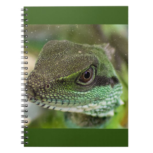 Alizard Notizblock (Vorderseite)