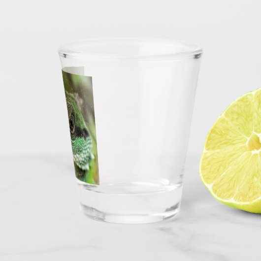 Alizard Schnapsglas (Rechts)