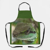 Alizard Schürze (Vorderseite)