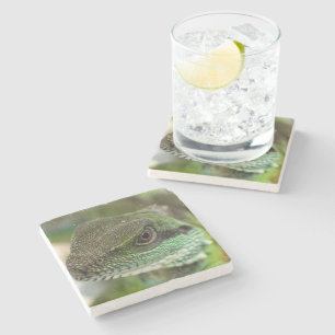 Alizard Steinuntersetzer