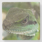 Alizard Steinuntersetzer (Vorderseite)