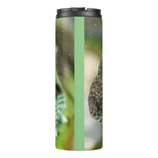 Alizard Thermosbecher (Rückseite)