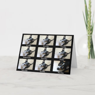 Alkoholiker Anonymer "Behalt zurück.." Karte