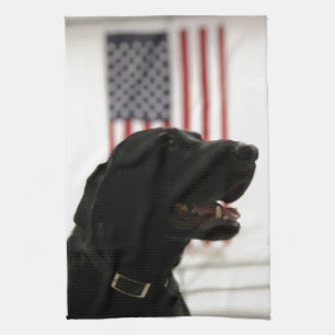 All-Amerikanisches schwarzes Labrador retriever Küchentuch