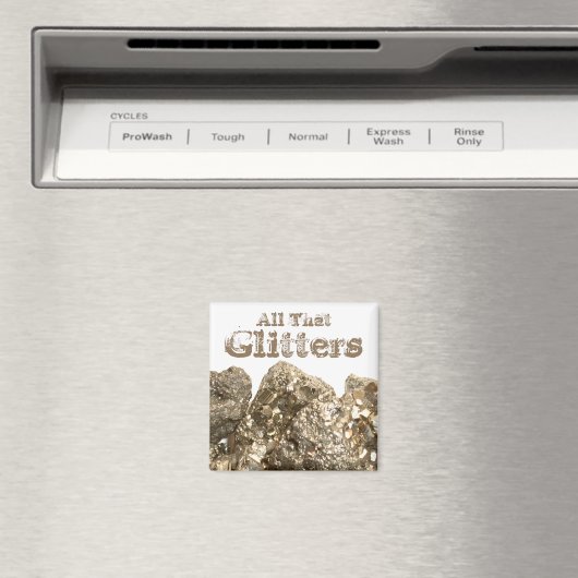 "All diese Glitzer" Fools Gold Magnet (In Situ (Geschirrspüler))