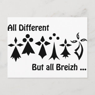 All different but all Breizh Bretagne Postkarte