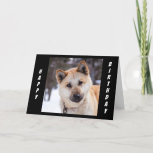 "ALL EARS" ZU HÖREN, WIE SIE IHREN GEBURTSTAG FEIE KARTE