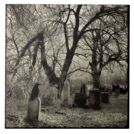 All Hallow's Eve Crow Fliese