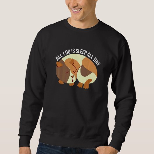 All I Do Is Sleep All Day Animal Lover Pet Owner C Sweatshirt (Vorderseite)