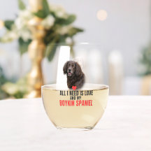 All I Need Is Love and My Boykin Spaniel