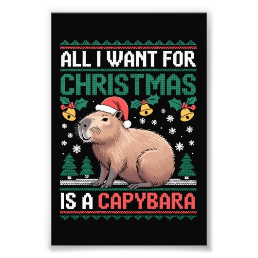 All I Want For Christmas Is A Capybara Animal Gift Fotodruck (Vorne)