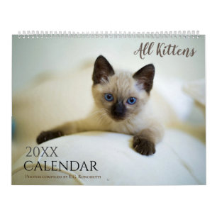 All Kittens Cute Animal 2027 Kalender