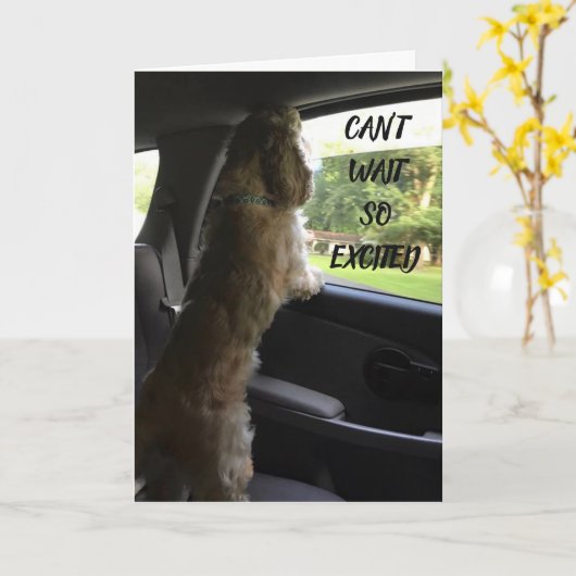 ALL MEINE LIEBE ***GLÜCKLICH GEBURTSTAG** KARTE (Gelbe Blume)