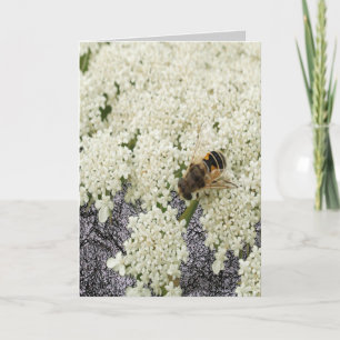 All Ocassion Queen Annes Lace Black Leather Card Dankeskarte