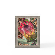 All-Occasion Note Card mit schönem Protea