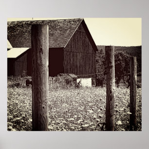 All Queens Barn Poster