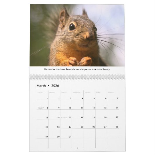 All Star Squirrel Calendar - New Life Lessons Kalender (Mär 2026)