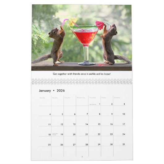 All Star Squirrel Calendar - New Life Lessons Kalender (Jan 2026)