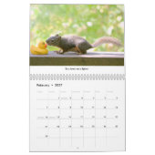 All Star Squirrel Calendar - New Life Lessons Kalender (Feb 2027)