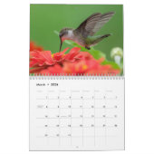 All the Buzz 2026 Calendar Kalender (Mär 2026)