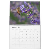 All the Buzz 2026 Calendar Kalender (Feb 2027)